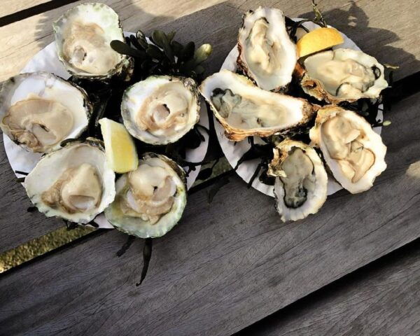 Your Own Amsterdam: Must Eat. Discovering The Dutch Cuisine! - Frequently Asked Questions
