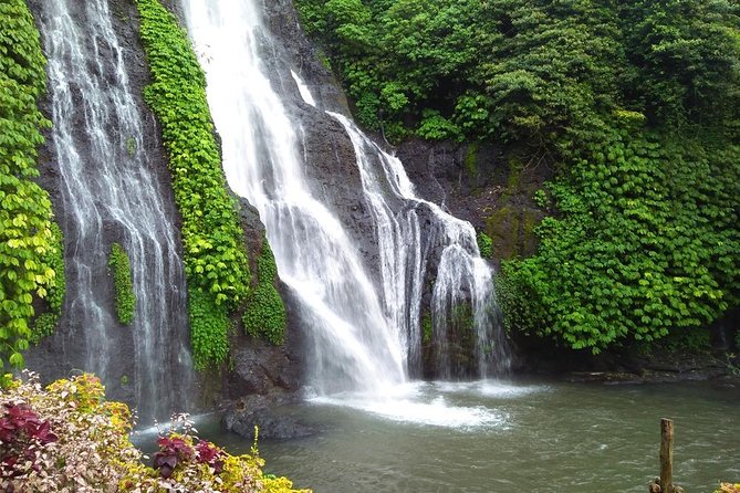 Your Own Day Tour Program - Tour Highlights