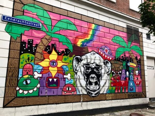Your Own Holland. Tour of Rotterdams Street Art - Capturing the Perfect Photo Opportunity