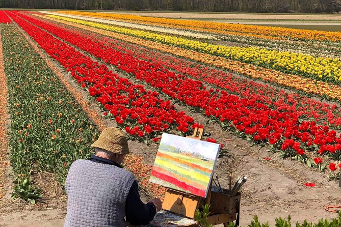 Your Own Holland. Tulip Fields Tour by Electric Bike - Exploring the Vibrant Tulip Fields