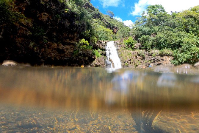 Your Private Circle Island Tours - Tour Pricing and Booking Details