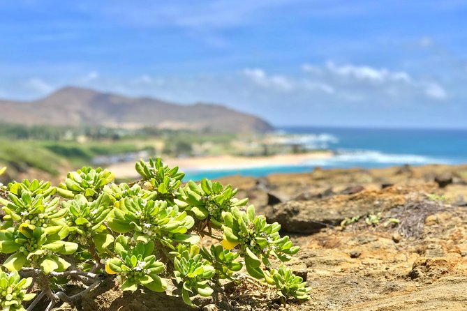 Your Private Circle Island Tours - Tour Overview and Itinerary