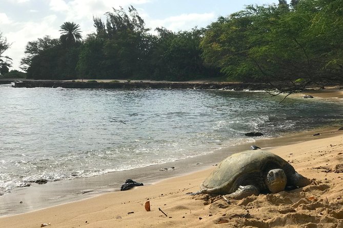 Your Private Community Tours - Cancellation Policy and Reviews