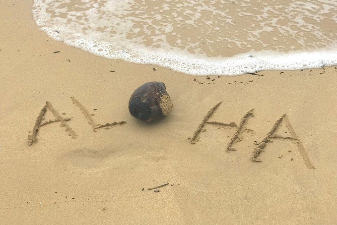 Your Private Community Tours - Spend up to 90 Minutes Volunteering