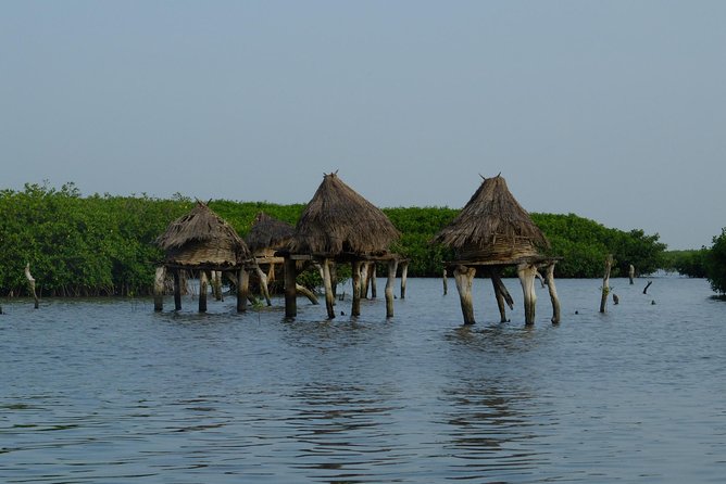 Your Private Driver & Tour Guide in Senegal-The Shell Island - Accessibility and Fitness Level