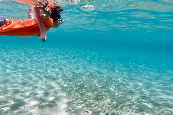 Your Private North Shore Tours - Tour Details and Inclusions