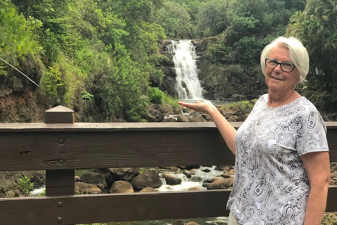 Your Private North Shore Tours - The Sum Up