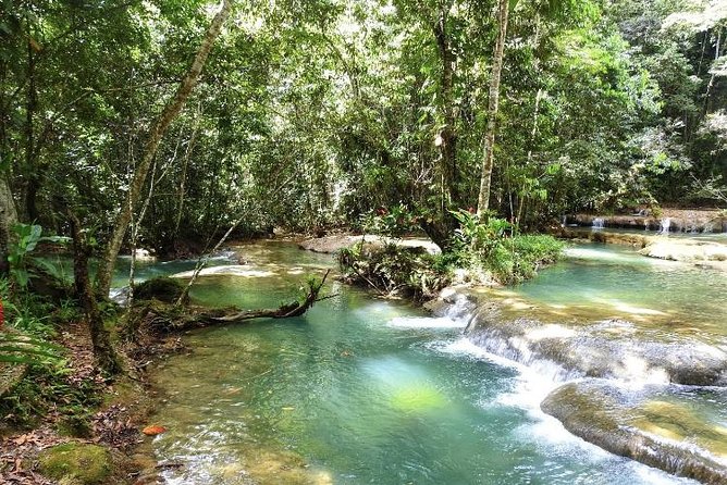 YS Falls and Appleton Estate Private Rum Tour - Common Questions