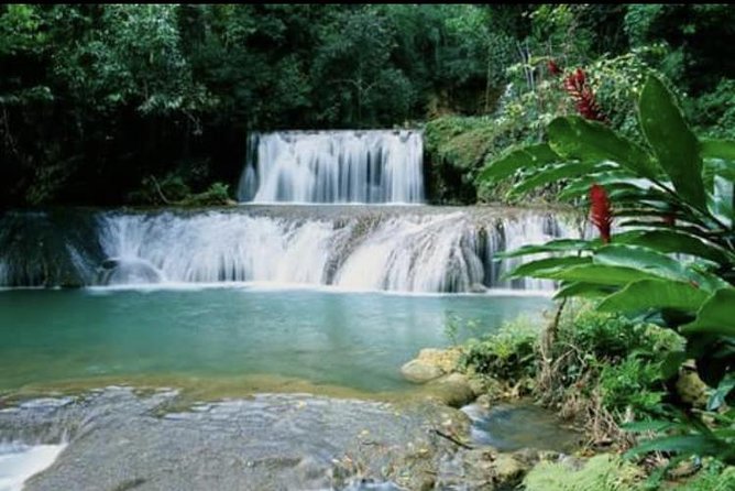 YS Falls and Appleton Estate Private Rum Tour - The Sum Up