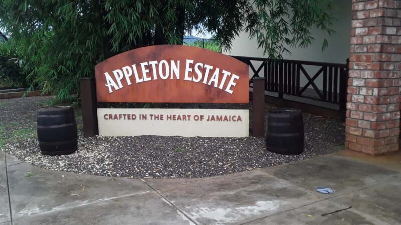 Ys Falls and Appleton Estate Private Tour - An Authentic Jamaican Experience: Ys Falls and Appleton Estate Private Tour