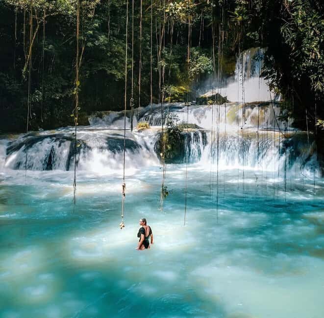 Ys Falls and Appleton Estate Private Tour - Why This Tour Works