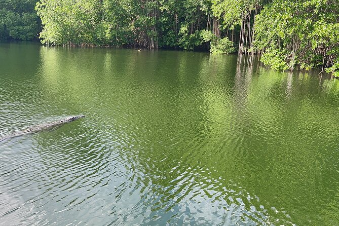 YS Falls and Black River Safari Including Pelican Bar Tour - Tour Highlights