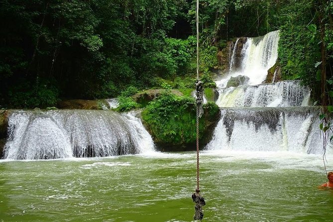 Ys Falls and Black River Safari Private Tour - Operator Information and Cancellation Policy