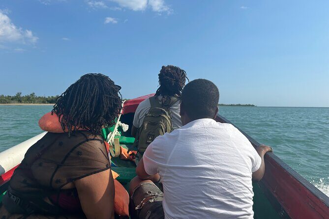 YS Falls and Zipline with Floyds Pelican Bar Full Day Tour - Ziplining: Aerial Views of Jamaica’s Green Canopy