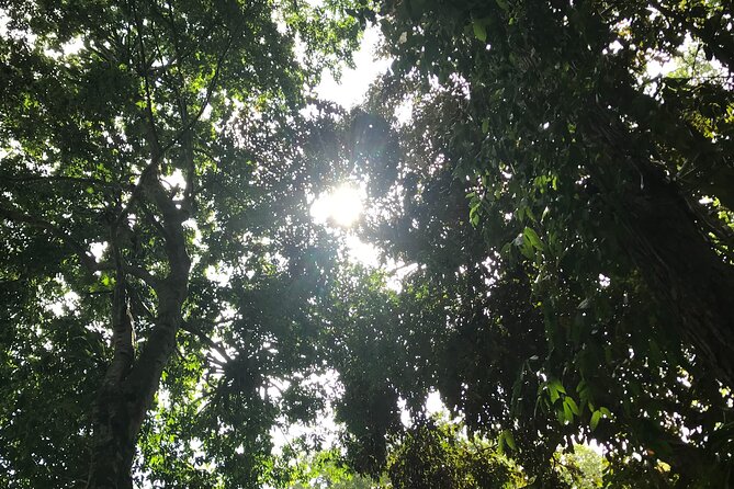 Ys Falls From Ocho Rios - Travel Time and Distance