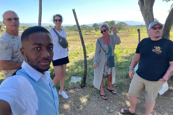 YS Falls Half Day Tour - Tour Highlights