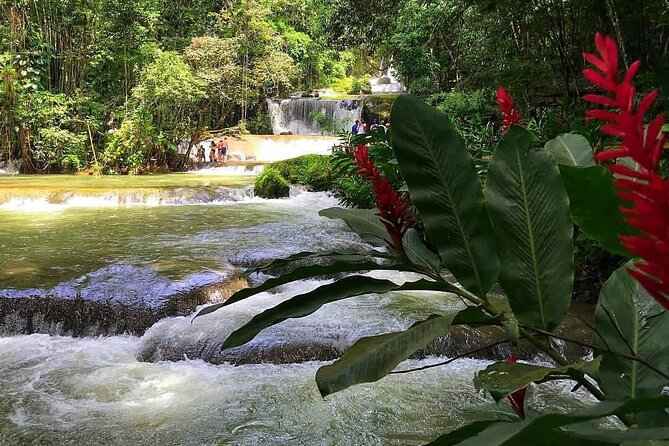 Ys Falls Private Tour - Booking Information