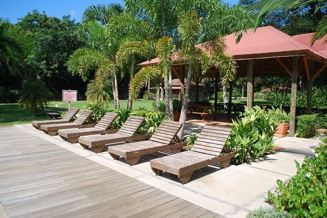 Ys Falls Private Tour - Tour Highlights