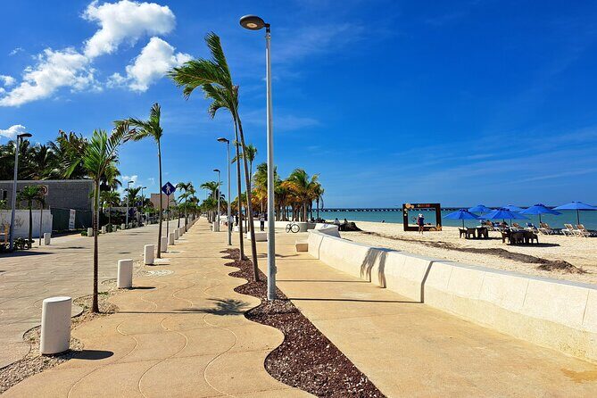 Yucatan Discovery: Motul, Hacienda, Xcambo, Xtampu & Progreso - Xcambó Archaeological Zone: Discovering Maya Rituals