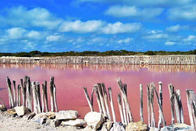 Yucatan Discovery: Motul, Hacienda, Xcambo, Xtampu & Progreso - Progreso’s Malecón and the Meteorite Museum
