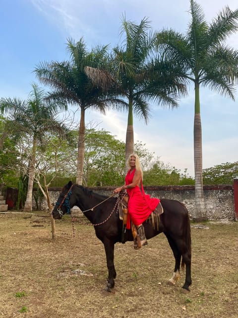 Yucatan: Horses, Cenotes and Jungle in Hacienda With Food - Good To Know