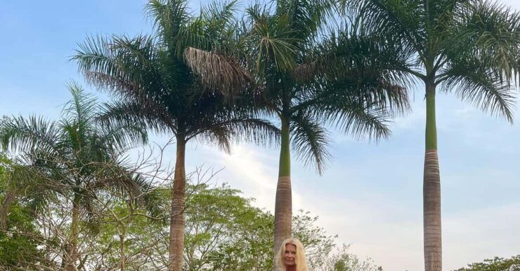 Yucatan: Horses, Cenotes and Jungle in Hacienda With Food - Itinerary Highlights
