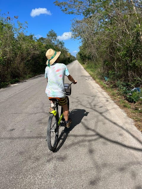 Yucatán Mexico: 11-Day Ruins & Cities Tour by Electric Train - Palenque - Jungle and Local Cuisine