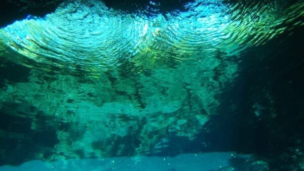 Yucatán: Snorkel With Turtles in Akumal + Tour to the Cenote - Frequently Asked Questions