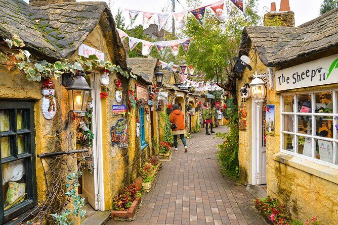 Yufuin Kinrin Lake Sea Hell Hot Springs Kyushu Zoo from Fukuoka - An Overview of the Tour Experience