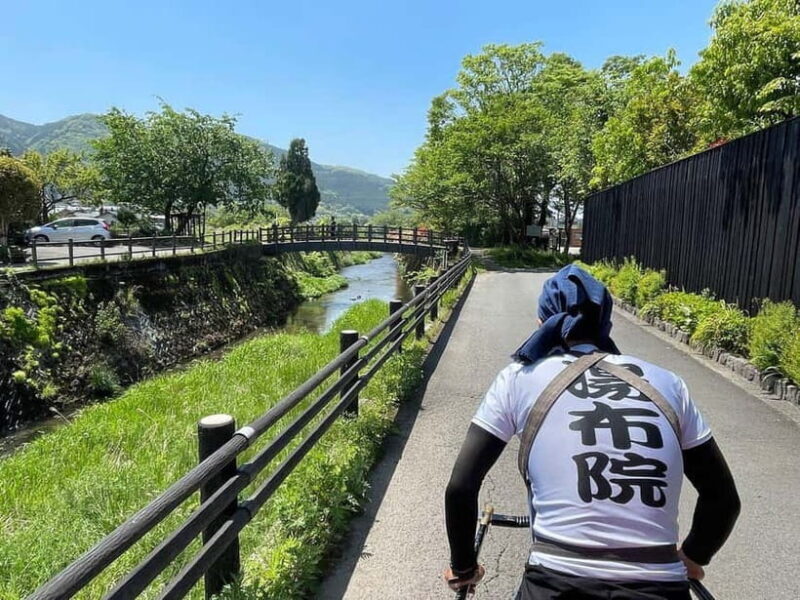 Yufuin: Mountains, Art, and Scenic Trails day tour - Who Will Love This Tour?