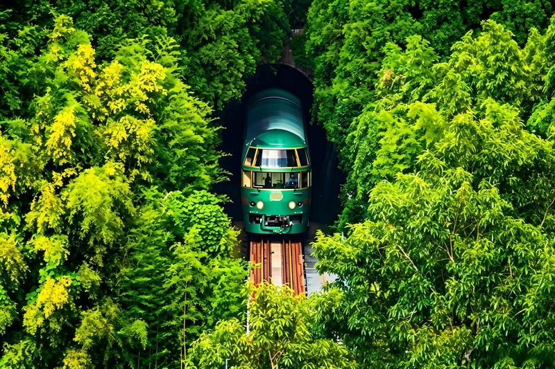 Yufuin no Mori Train Experience | Beppu Hell Tour + Kyushu Natural Animal Park + Yufuin Day Trip (Chinese and English Guides) - What this Fukuoka day trip gets right