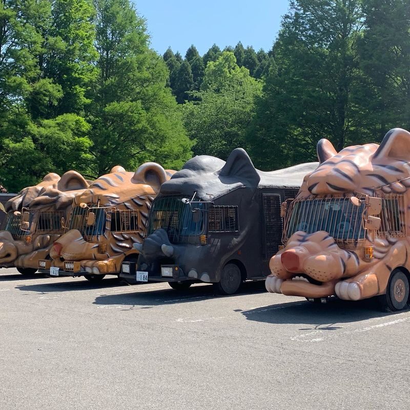 Yufuin no Mori Train Experience | Beppu Hell Tour + Kyushu Natural Animal Park + Yufuin Day Trip (Chinese and English Guides) - Yufuin: Lake Kinrin, sweets and time to wander