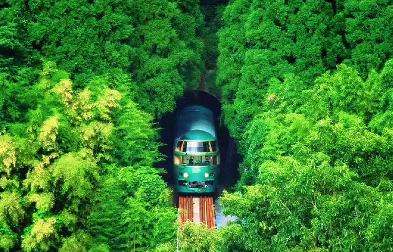 Yufuin no Mori Train Experience: Yufuin Onsen Town & Kyushu Zoo & Beppu Hells or Dazaifu Tenmangu Shrine + Beppu Ropeway Tour - At a glance