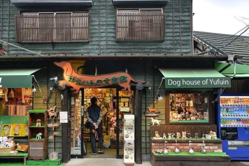 Yufuin: Onsen Wellness & Culinary Delights Guided Tour - Good To Know