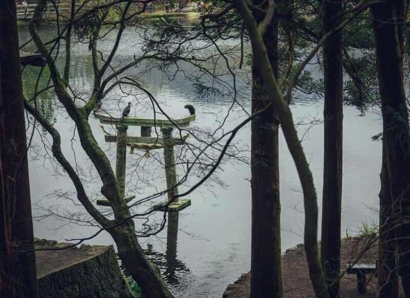 Yufuin: Onsen Wellness & Culinary Delights Guided Tour - The Itinerary in Detail