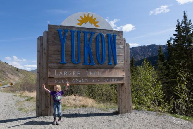 Yukon Dogs and Gold - Exploring the Scenic Wonders of the Yukon