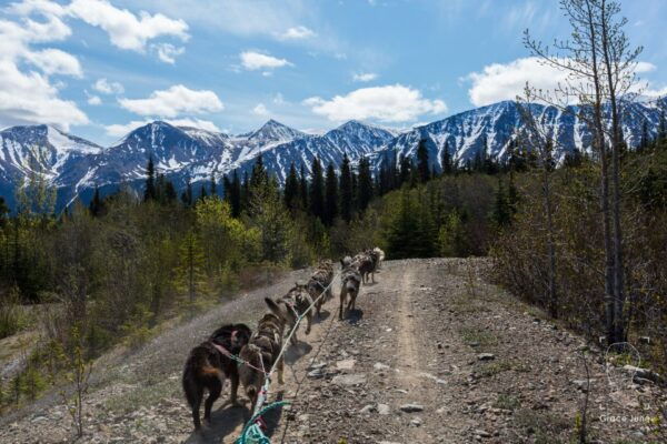 Yukon Dogs and Gold - Common Questions