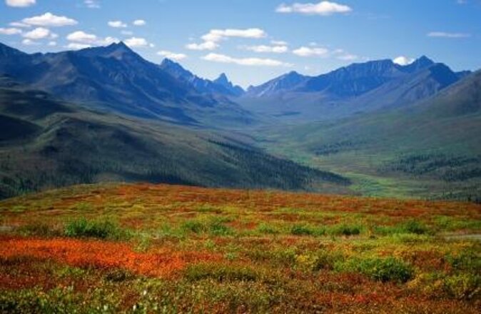 Yukon Escapade: Lakes, Wilderness, and Hidden Gems - Wilderness Adventures Await