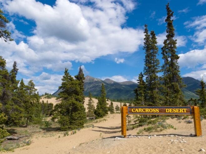 Yukon Escapade: Lakes, Wilderness, and Hidden Gems - Hidden Gems Unveiled Along the Journey