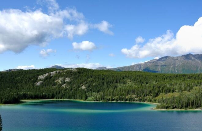 Yukon Escapade: Lakes, Wilderness, and Hidden Gems - Common Questions