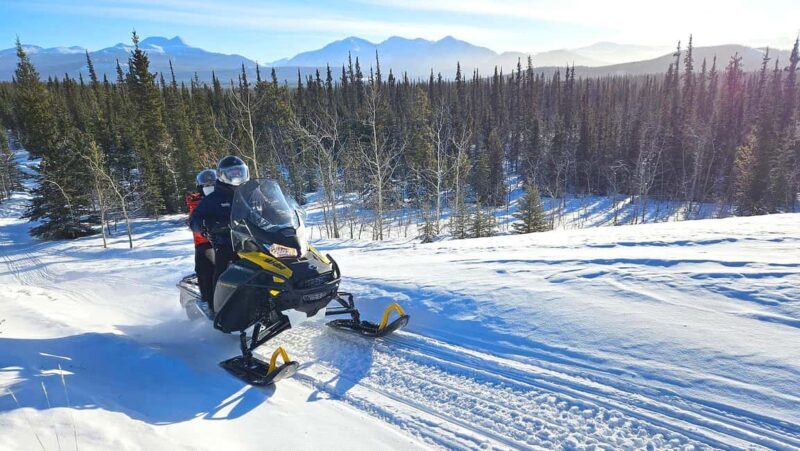 Yukon: Half-Day Snowmobile Tour - The Experience Breakdown: What to Expect From Start to Finish