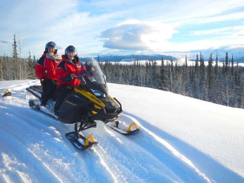 Yukon: Half-Day Snowmobile Tour - The Practicalities: Price, Duration, and Group Size