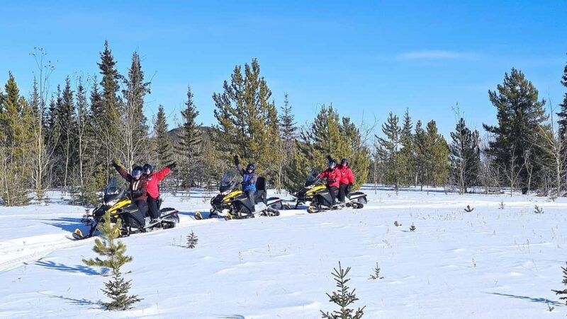 Yukon: Half-Day Snowmobile Tour - Who Will Love This Tour?