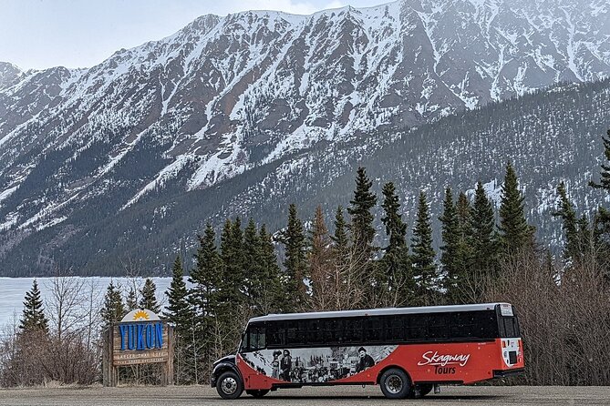 Yukon Husky Puppy Play Time & Summit Tour - Traveler Photos and Tour Experience
