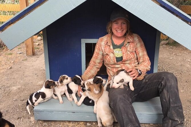 Yukon Husky Puppy Play Time & Summit Tour - Common Questions
