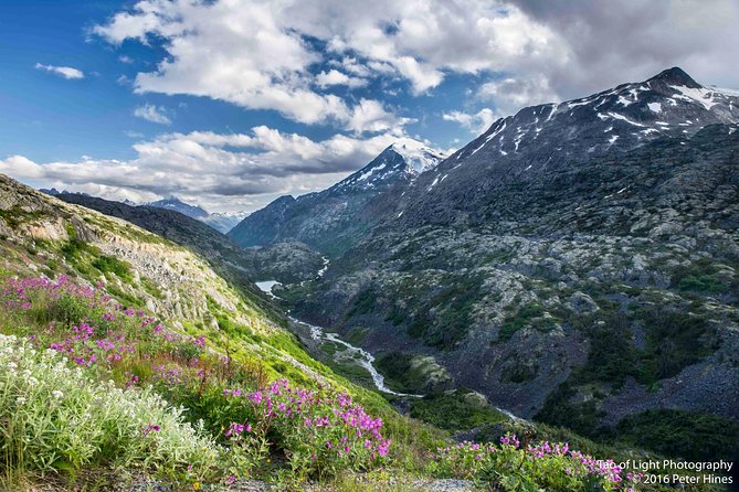 Yukon Suspension Bridge and Summit Tour - Overview and Inclusions