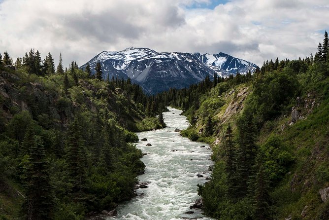 Yukon Suspension Bridge and Summit Tour - Positive Reviews of Tour Guides