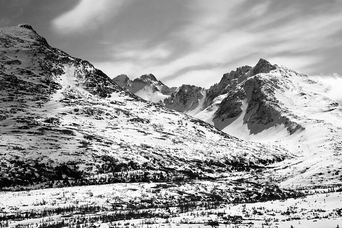 Yukon Suspension Bridge and Summit Tour - Personalized and Memorable Experiences