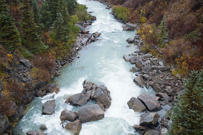 Yukon Suspension Bridge and Summit Tour - Common Questions