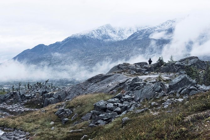 Yukon Suspension Bridge and Summit Tour - The Sum Up